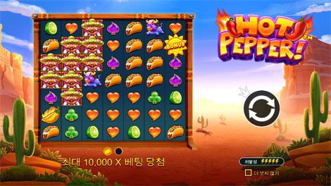 와일드 셀러브리티 버스 메가웨이즈